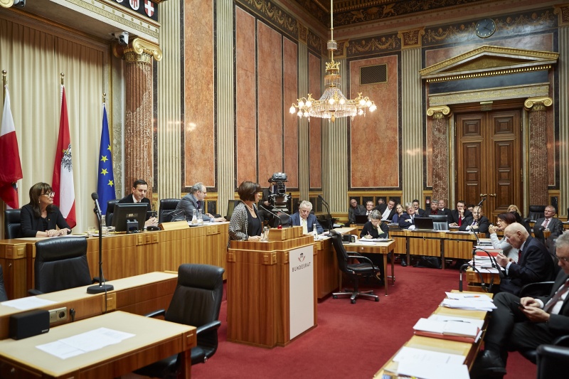 Bundesrätin Renate Anderl (S) am Rednerpult