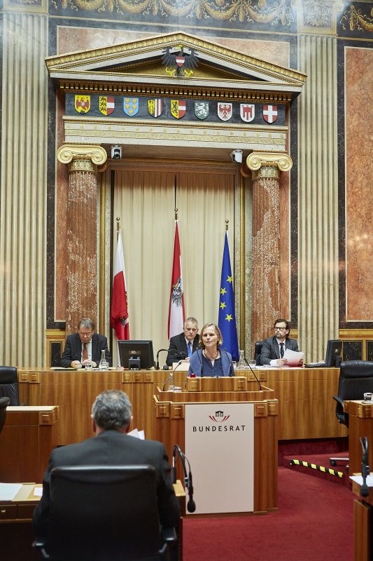 Bundesrätin Daniela Gruber-Pruner (S) am Rednerpult
