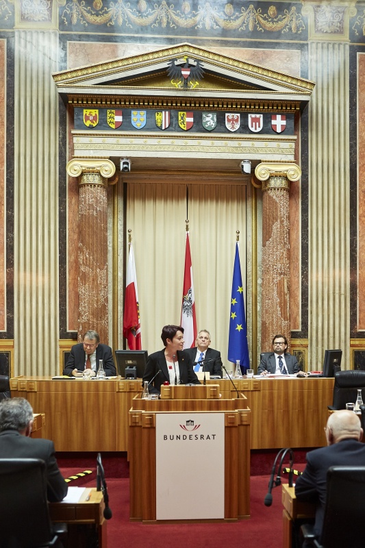 Bundesrätin Sonja Ledl-Rossmann (V) am Rednerpult