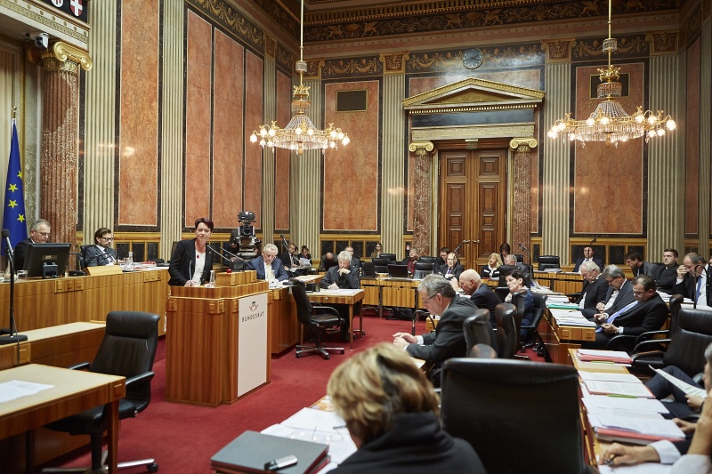 Bundesrätin Sonja Ledl-Rossmann (V) am Rednerpult