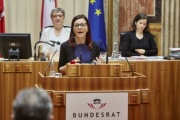 Bundesrätin Ewa Dziedzic (G) am Rednerpult