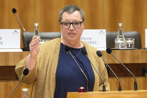 Gesundheitsministerin Sabine Oberhauser am Rednerpult