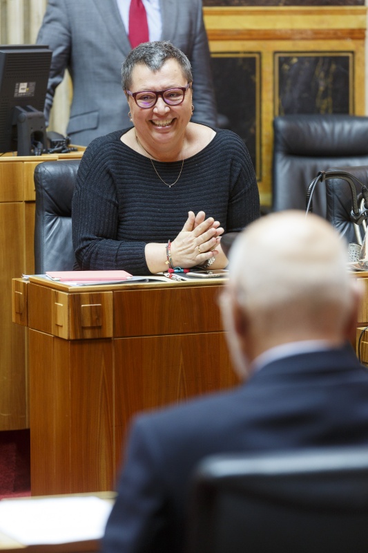 Gesundheitsministerin Sabine Oberhauser (S) auf der Ministerbank