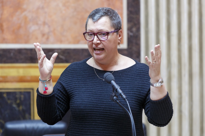 Gesundheitsministerin Sabine Oberhauser (S) am Wort