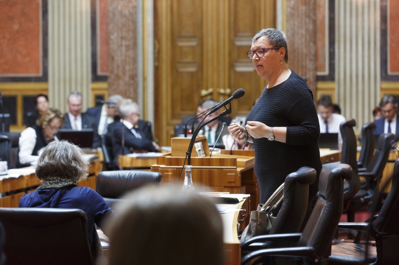 Gesundheitsministerin Sabine Oberhauser (S) am Wort. Blick Richtung VeranstaltungsteilnehmerInnen