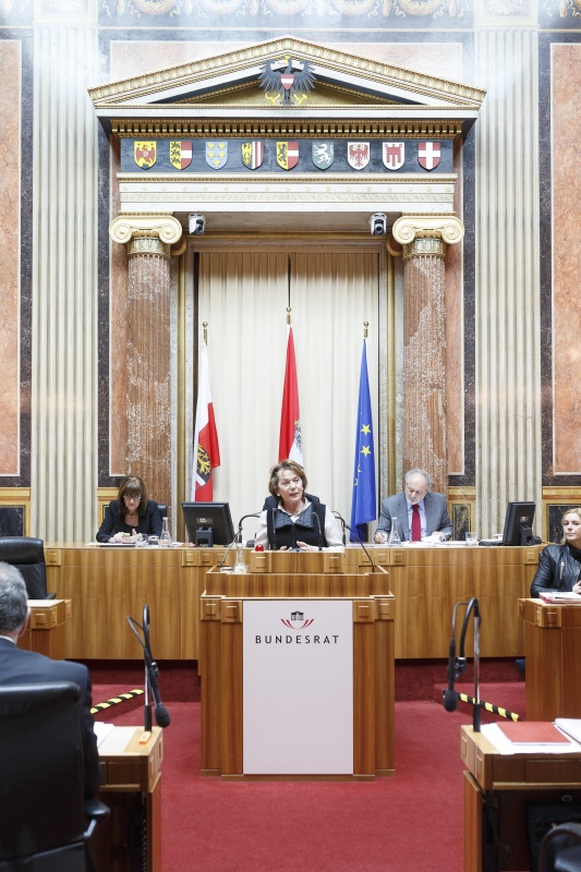 Bundesrätin Sonja Zwazl (V) am Rednerpult