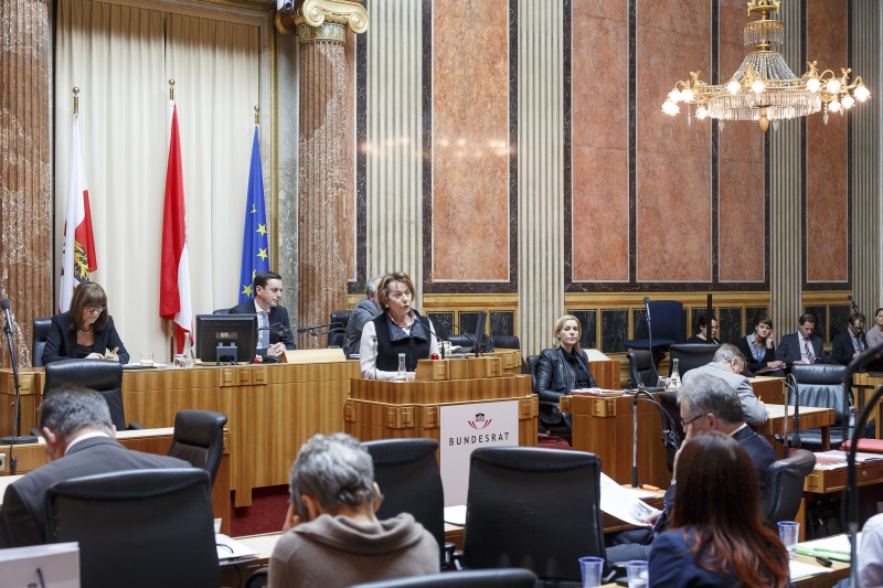 Bundesrätin Sonja Zwazl (V) am Rednerpult. Blick Richtung VeranstaltungsteilnehmerInnen