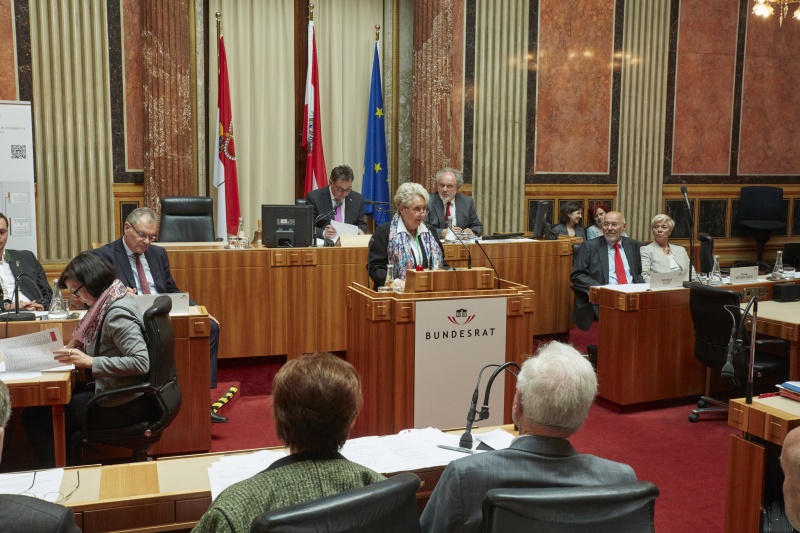 Wortmeldung einer Teilnehmerin im Plenum