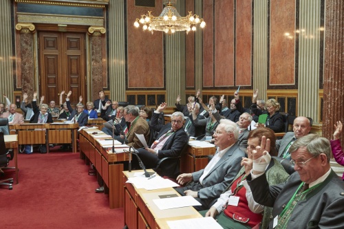 Abstimmung durch Handheben im Plenum