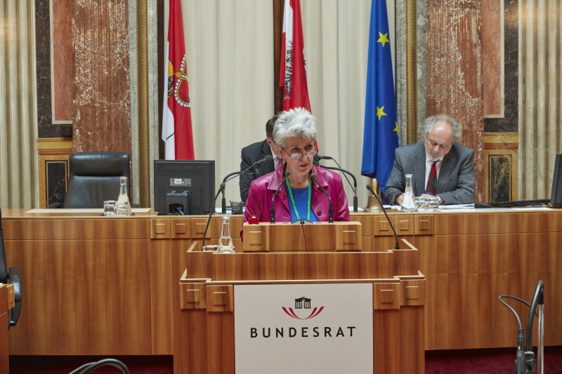 Wortmeldung im Plenum