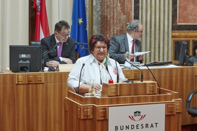 Wortmeldung im Plenum