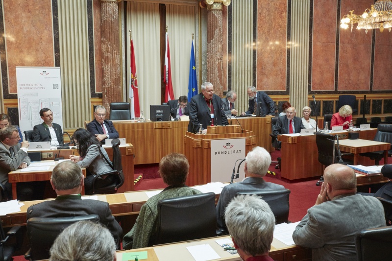 Wortmeldung im Plenum