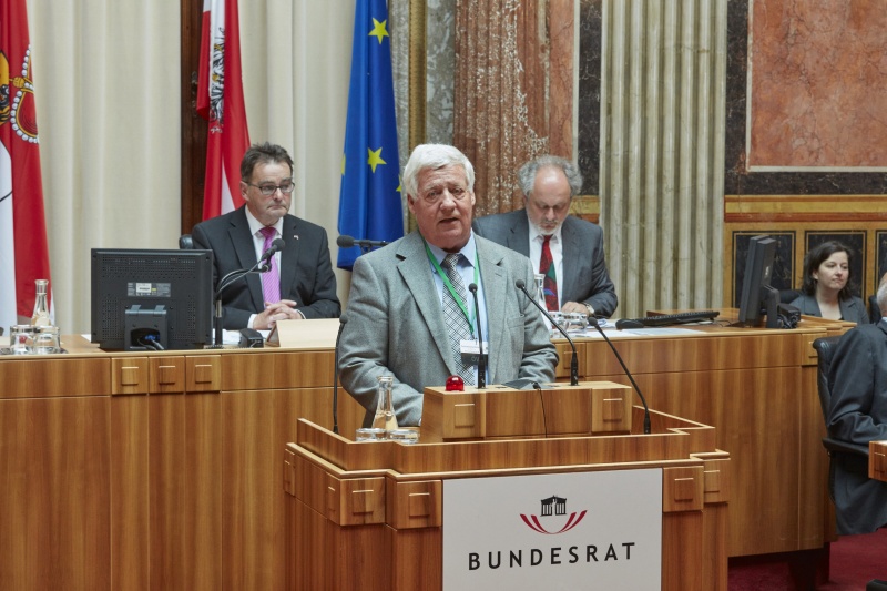 Wortmeldung im Plenum