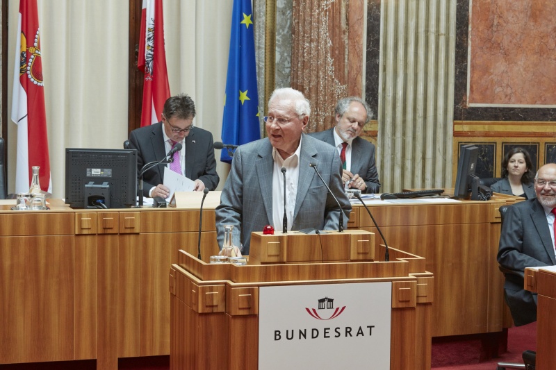 Wortmeldung im Plenum