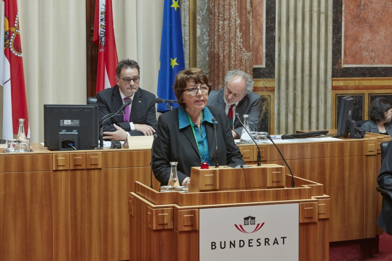 Wortmeldung im Plenum