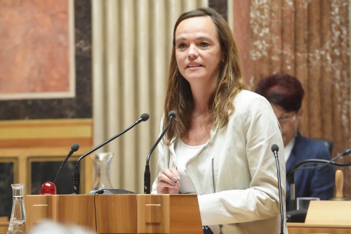 Bildungsministerin Sonja Hammerschmid (S) bei ihren Ausführungen