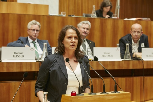Resümee von Nationalratsabgeordneter Christiane Brunner (G), Obfrau des Umwltausschusses