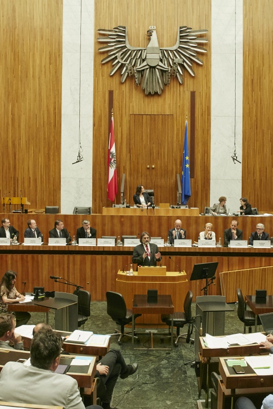 Impulsreferat durch Nebojsa Nakicenovic IIASA