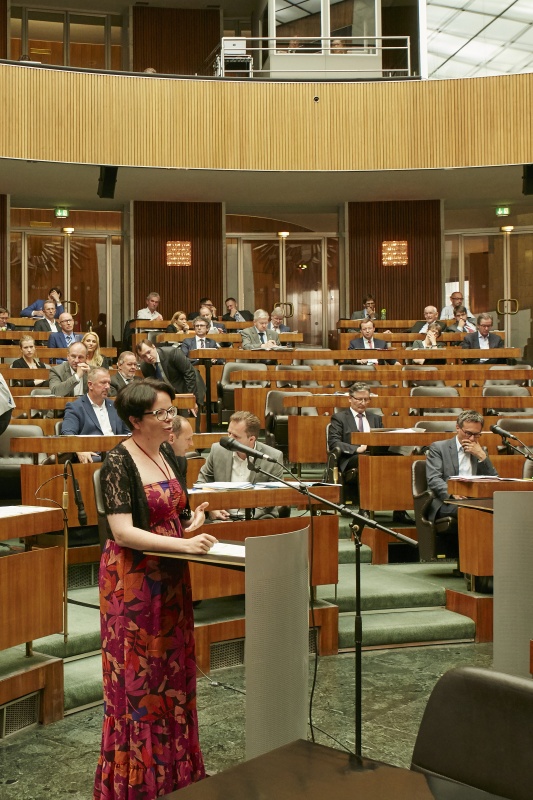 Nationalratsabgeordnete Tanja Windbüchler-Souschill (G) am Rednerpult