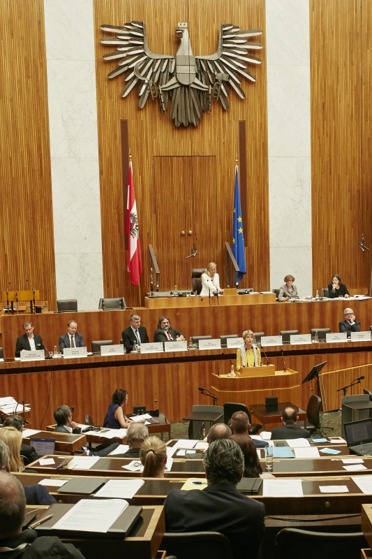 Nationalratsabgeordnete Martina Diesner-Wais (V) am Rednerpult