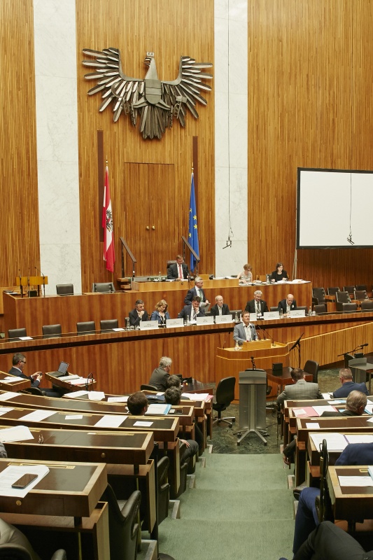 Nationalratsabgeordneter Wolfgang Pirklhuber (G) am Rednerpult