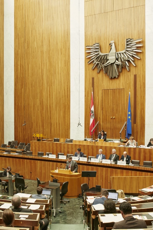 Rede von Christoph Pfemeter Österreichischer Biomasseverband