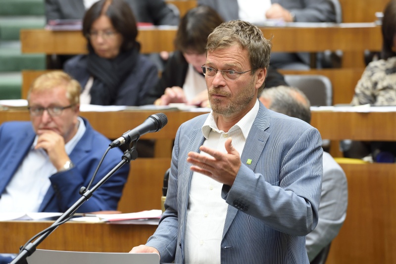 Nationalratsabgeordneter Wolfgang Pirklhuber (G) am Wort