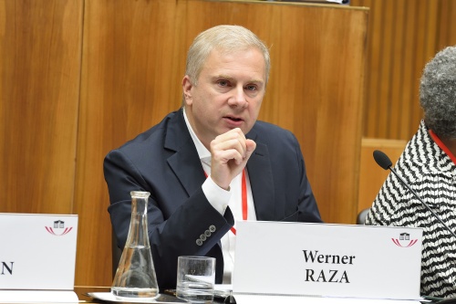 Werner Raza, ÖFSE