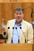 Nationalratsabgeordneter Werner Kogler (G) am Wort