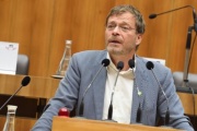 Nationalratsabgeordneter Wolfgang Pirklhuber (G) am Wort