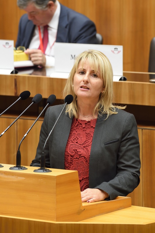 Abgeordnete zum EU Parlament Karoline Graswander-Hainz (S) am Wort