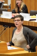 Landtagsabgeordnete Madeleine Petrovic (G) am Wort