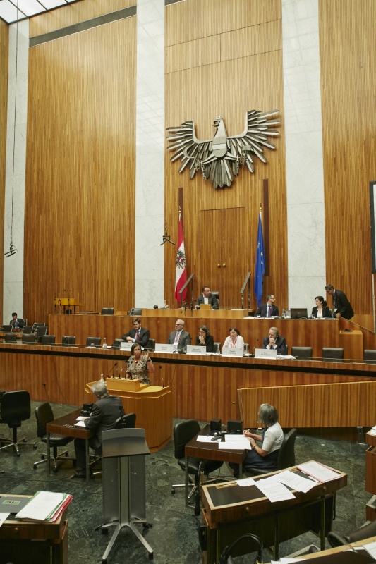 Rede Nationalratsabgeordnete Petra Bayr (S)