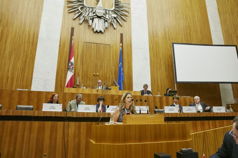 Rede von Fraktionsexpertin Team Stronach Frau Baumgartner