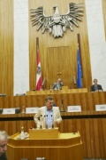 Rede Nationalratsabgeordneter Werner Kogler (G)