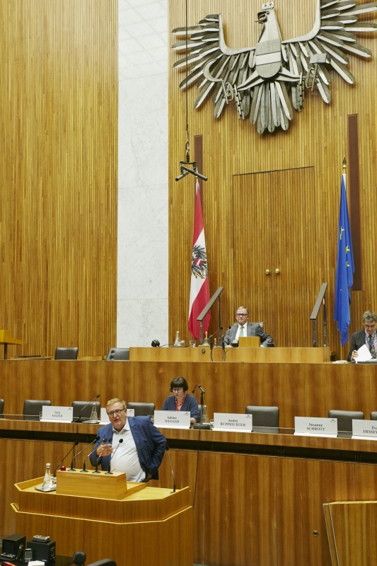 Rede Nationalratsabgeordneter Christoph Matzenetter (S)