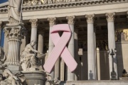 Pink Ribbon am Parlamentsgebäude aus Anlass des Internationalen Brustkrebstages am 1. Oktober