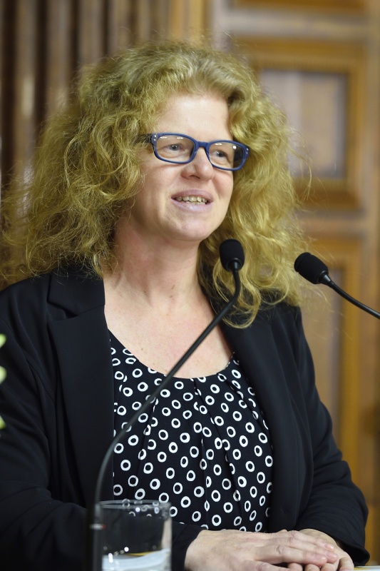 Patricia Hladschik, Ludwig Boltzmann Institut für Menschenrechte