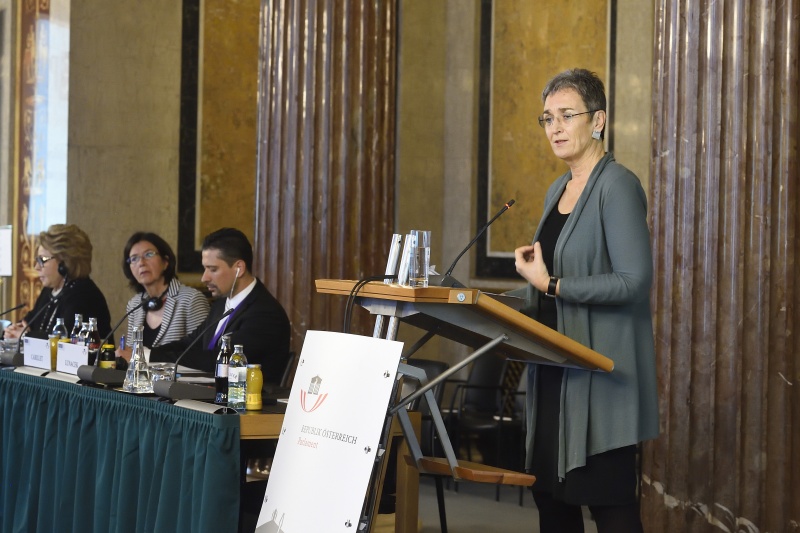 Vizepräsidentin des Europäischen Parlaments Ulrike Lunacek am Wort