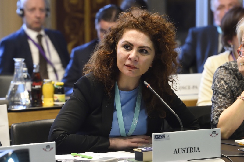 Nationalratsabgeordnete Aygül Berivan Aslan (G)