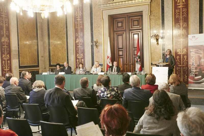 Wortmeldung von Regina Baumgartl ÖAR Dachvergand der Behindertenverbände