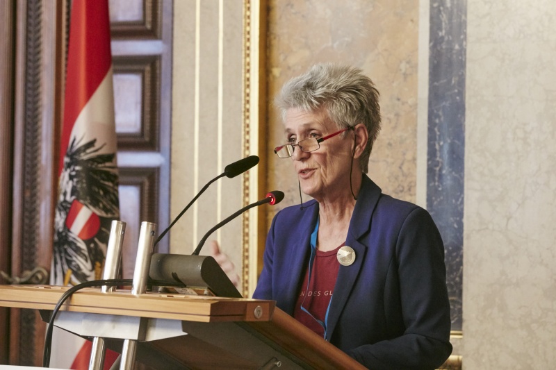 Wortmeldung von Birgit Meinhard-Schiebel Interessensgemeinschaft pflegende Angehörige