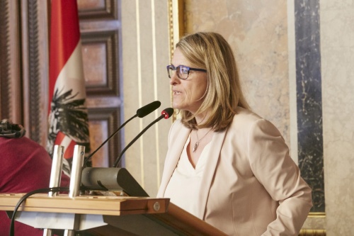 Wortmeldung von Nationalratsabgeordnete Ulrike Königsberger-Ludwig (S)