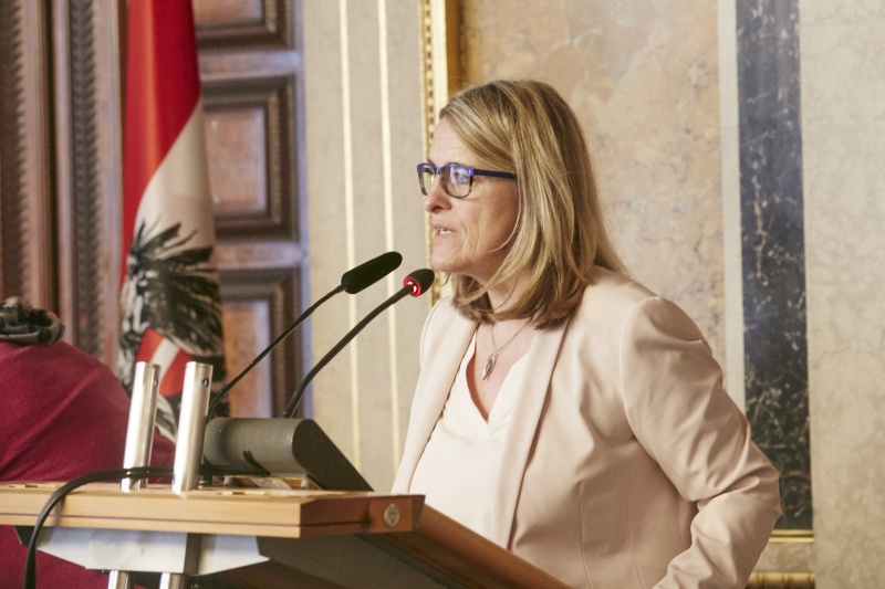 Wortmeldung von Nationalratsabgeordnete Ulrike Königsberger-Ludwig (S)