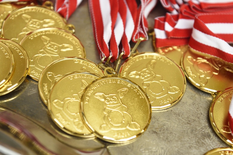 Medaillen für die Demokratieprofis