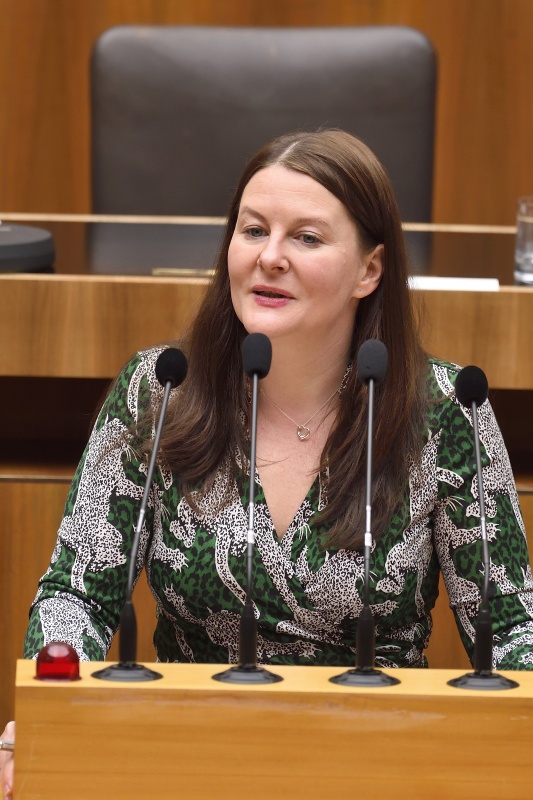 Nationalratsabgeordnete Karin Doppelbauer (N) am Rednerpult