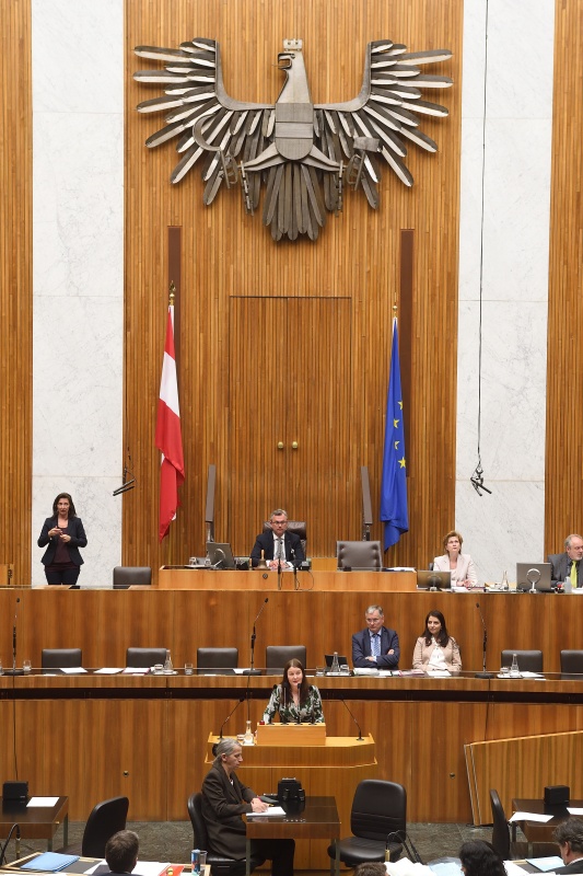 Nationalratsabgeordnete Karin Doppelbauer (N) am Rednerpult