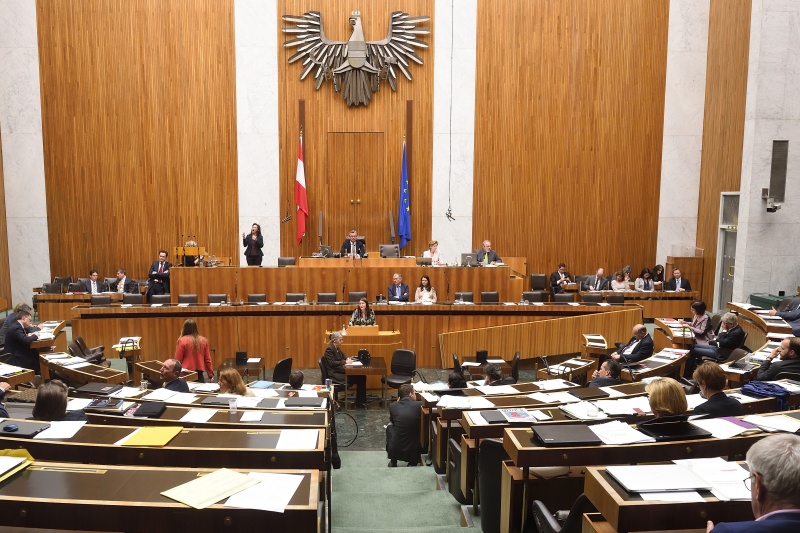 Nationalratsabgeordnete Karin Doppelbauer (N) am Rednerpult