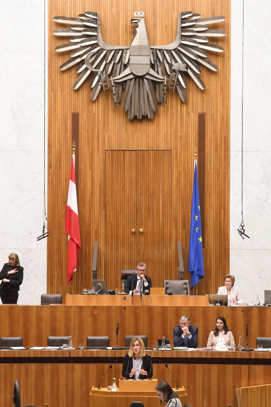 Nationalratsabgeordnete Claudia Gamon (N) am Rednerpult