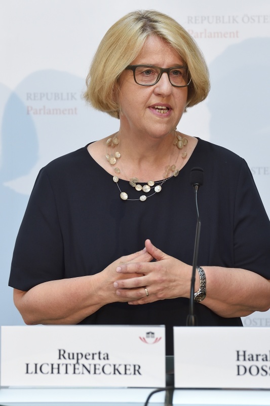 Nationalratsabgeordnete Ruperta Lichtenecker (G) am Wort